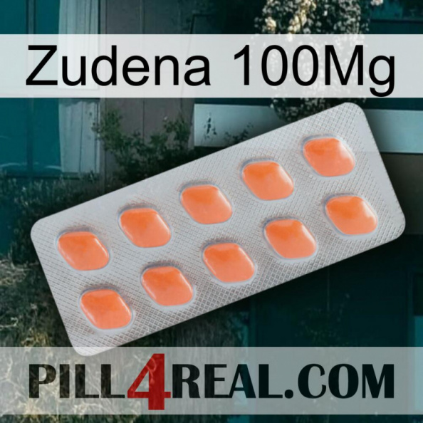 Zudena 100Mg 26.jpg